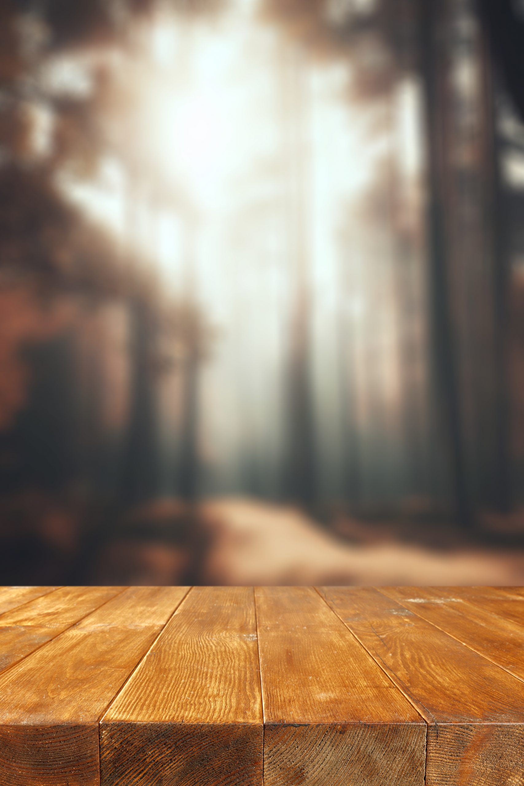 Gestion durable des forêts : le socle d’une construction en bois vraiment écologique