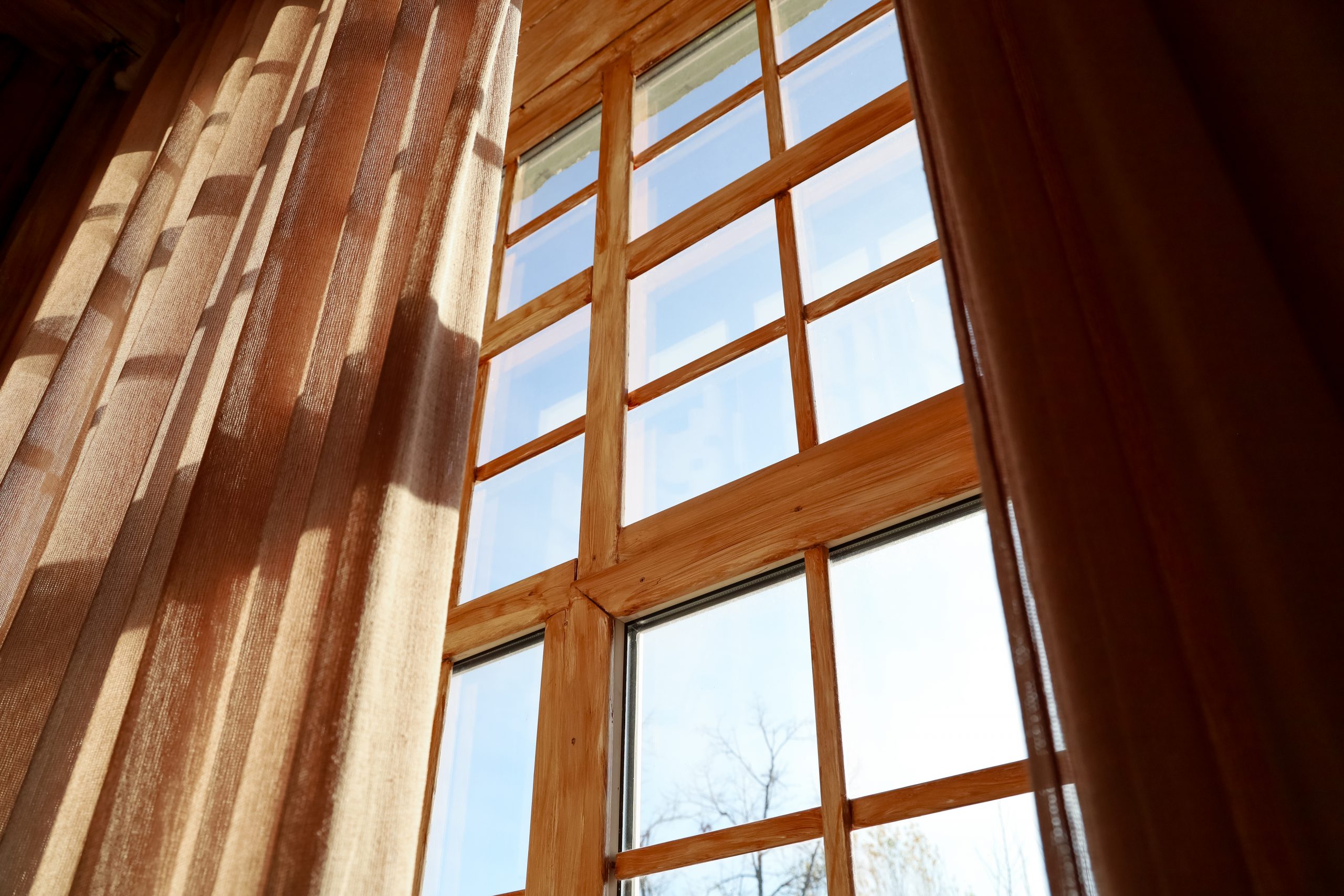 Pourquoi le bois antibactérien est essentiel pour un intérieur sain et durable